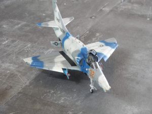 DSCN6449