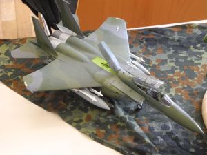 DSCN6815