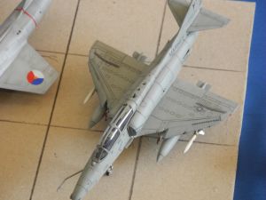 DSCN6837