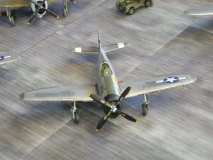DSCN6900