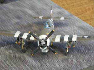 DSCN6908