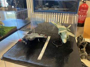 IMG 9329